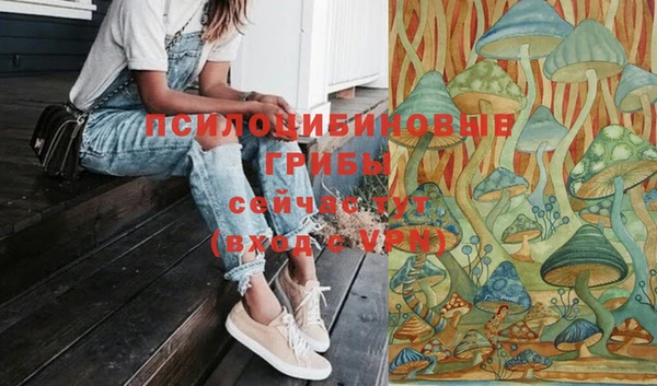 бошки Михайлов