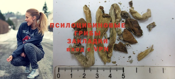 ешки Медногорск